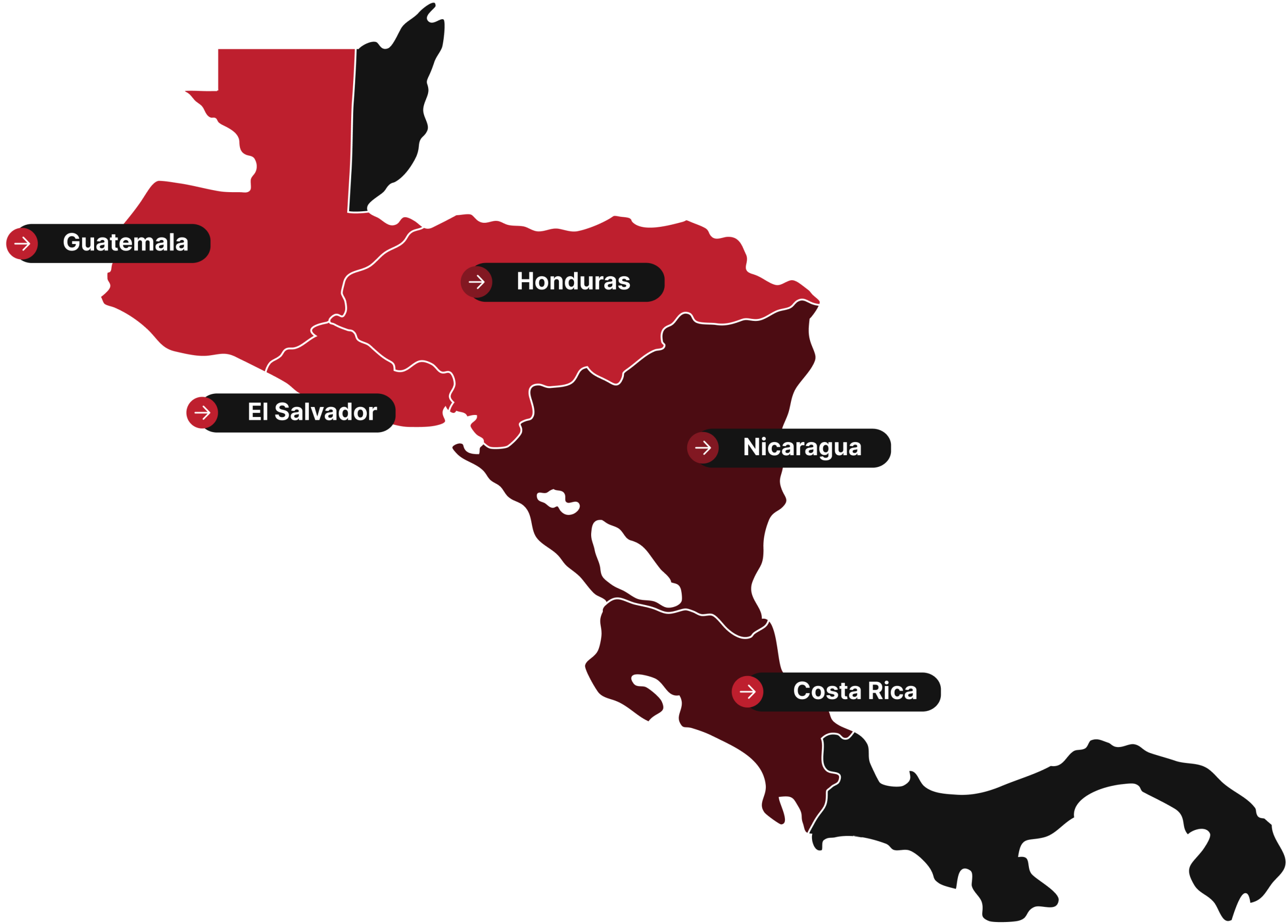 La solución INPlants para obtener información financiera confiable y la mejor gestión de auditores. Metodología INPlants